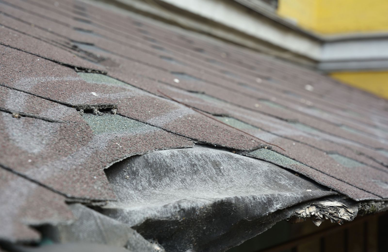 One Call Roofing & Construction Solutions Images