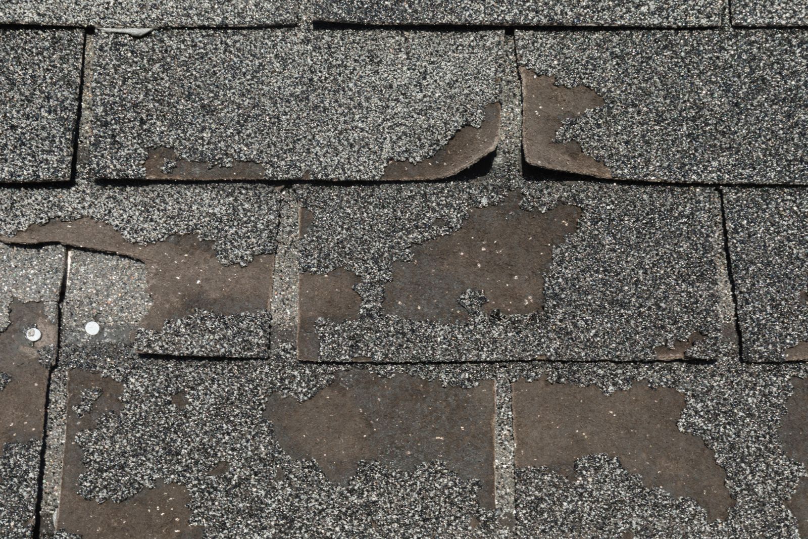 One Call Roofing & Construction Solutions Images